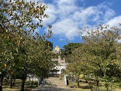 -苏州上方山国家森林公园