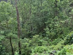 -高荡千年布依古寨旅游景区