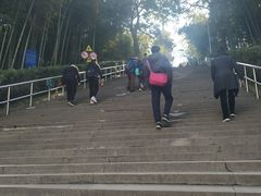 -上海佘山国家森林公园西佘山园