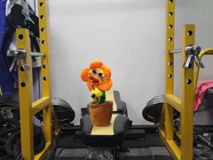 -金翼跆拳道巴西柔术拳击格斗学院