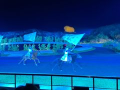 -鼎盛王朝康熙大典实景演出