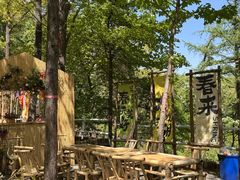 -沂蒙山旅游区云蒙景区(蒙山国家森林公园)