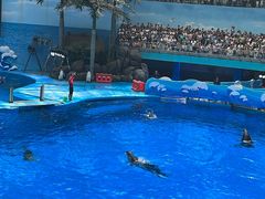 -海合安成都极地海洋公园