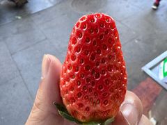 -南坛综合农贸市场