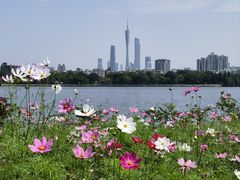 -海珠湖公园