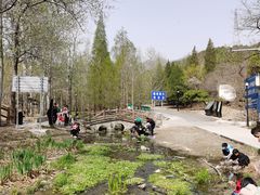 -白水寺森林公园