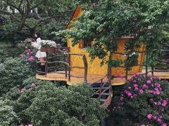 -名花谷生态庄园