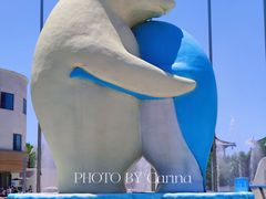 -西安曲江海洋极地公园