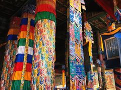 -大召无量寺
