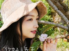 -团城山公园