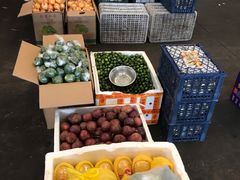 -西郊国际农产品交易中心