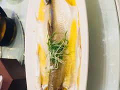 -同庆楼(金宝汇店)