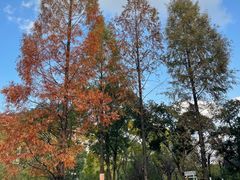 -宁波九龙湖开元度假村