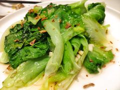 啫啫腐乳生菜煲-冯姐生蚝(迎宾广场店)