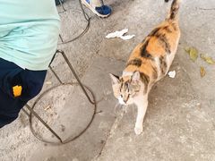 -安庆柴火馄饨(马道街店)