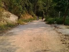 路面-火炉山森林公园