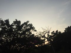 -南沙蒲洲花园