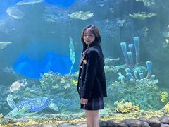 -华夏文旅海洋公园