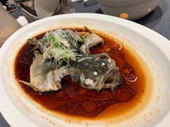 -曲园酒楼(老江东店)