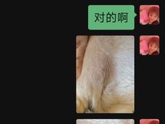 -帕帕拉兹宠物(亚洲旗舰店)