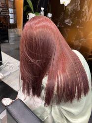 -时尚殿堂salon