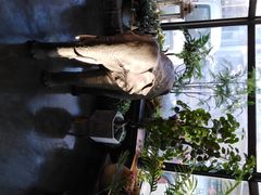 -LYFATTI 莱芙缇(赣水路店)