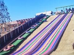 -黄海国家森林公园