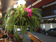 -Log Home Boutique Hotel