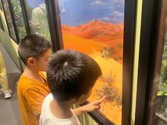 -国家自然博物馆