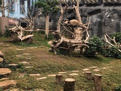 -石排湾郊野公园