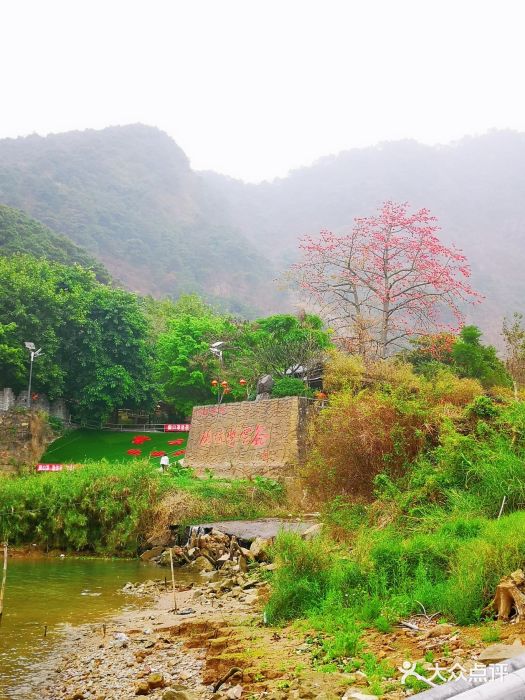 紫云谷景区图片