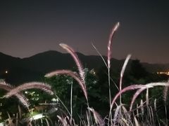 -白石龙音乐公园