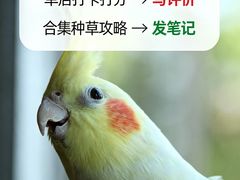 -杭州湖滨银泰in77