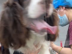 -宠福鑫康馨动物医院·骨科·眼科