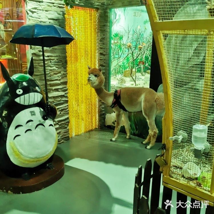 畅游萌宠乐园一整天，两大一小只要150元