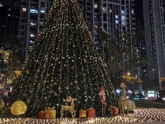 -五缘湾凯悦酒店·悦饗中餐厅