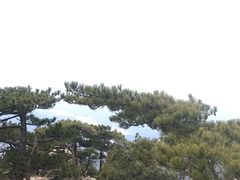 -罗田天堂寨风景区