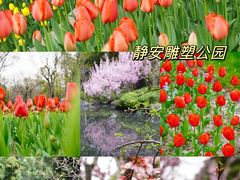 -静安雕塑公园