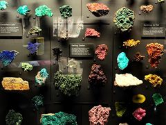 -美国自然历史博物馆