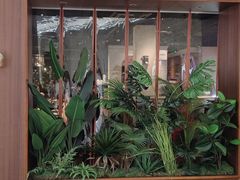 -三猫黑鱼花(南大店)