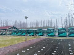 -黄海国家森林公园