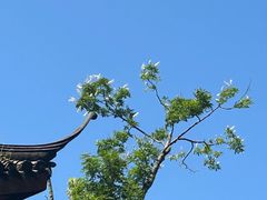 -宋宴(虎跑店)