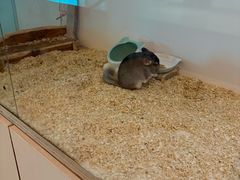 -宁波九龙湖开元度假村