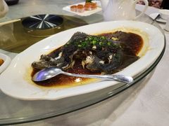豉汁蒸多宝鱼-东江海鲜酒家(客村店)