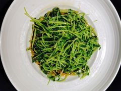 酒香炒豆苗-老头儿油爆虾·知味杭州(爱琴海购物中心)