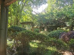 -九曲溪竹筏码头