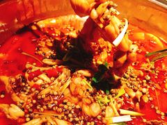 -宽口美蛙鱼头(大唐西市店)