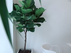 -花沐 FLOWER BATH(凤凰城店)