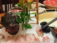 -揽季锅物会.福建黄鱼.海鲜姿造(五四路店)