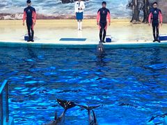 -福州罗源湾海洋世界旅游区